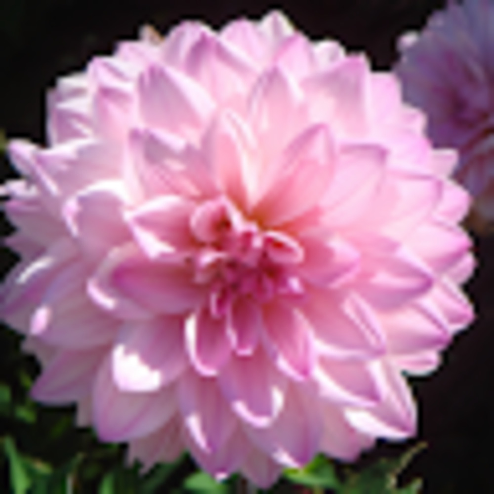 Meet your Posher, Im